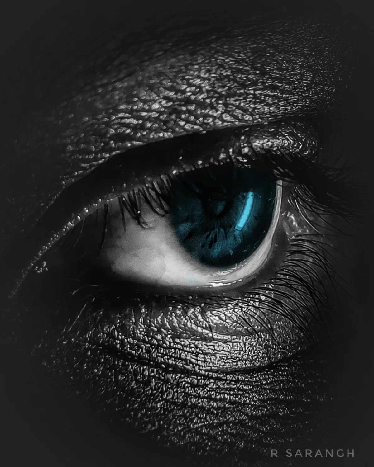 Close-up creative photograph titled The Dark Eye